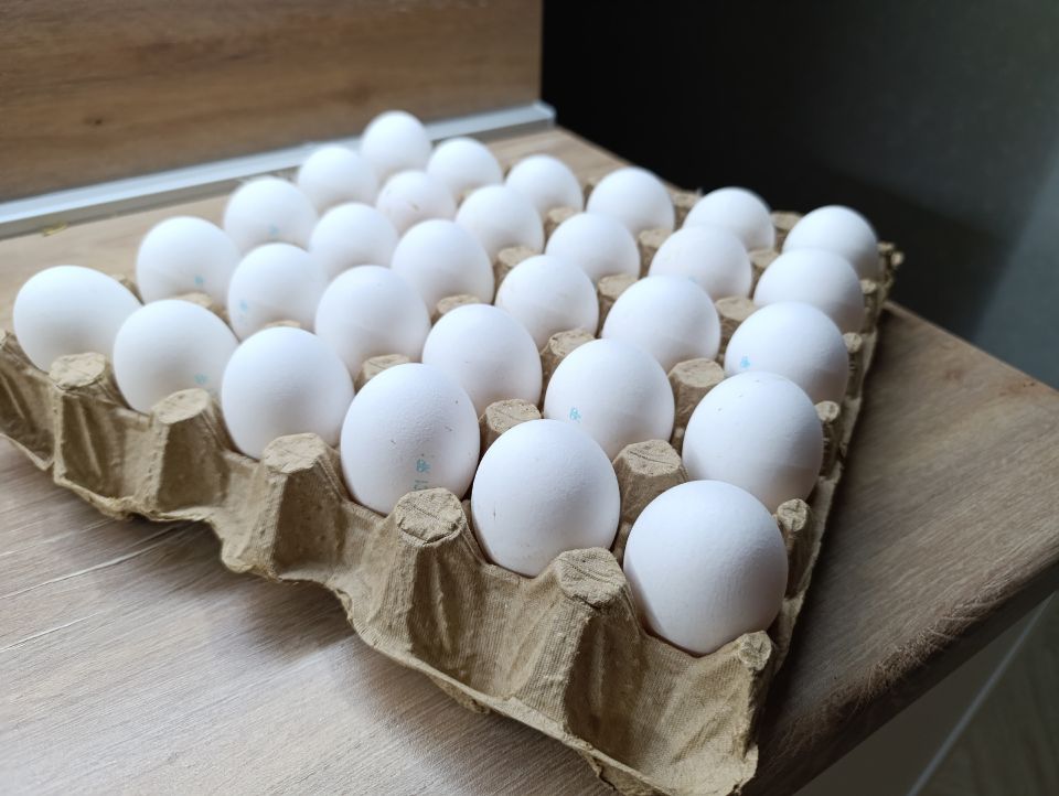Куриные яйца не покупаю уже год: от этих 9 продуктов советуют отказаться ученые. А мы их едим каждый день и детям даем Куриные яйца не покупаю уже год: от этих 9 продуктов советуют отказаться ученые. А мы их едим каждый день и детям даем