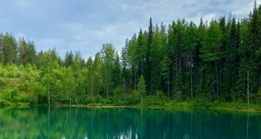 Это лето войдет в историю: Вильфанд предупредил, к чему готовиться россиянам уже с июня 2025