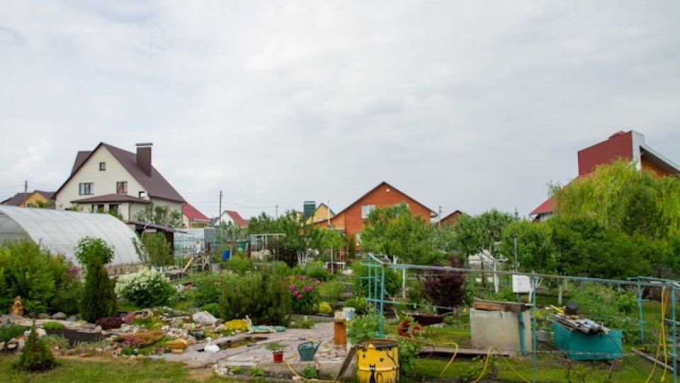 Клещи пустятся в бегство: сажаем 4 пахучих растения — природа работает безотказно
