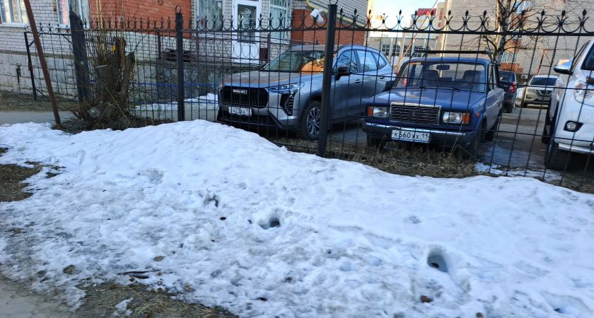Вильфанд предупреждает: майские заморозки погубят урожай: ожидается резкое похолодание, столбик термометра упадет ниже нуля
