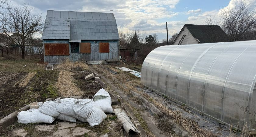 С мая без согласия соседа на своём участке строго запрещено: новые строгие правила для всех у кого есть дача или участок