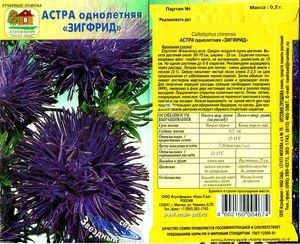 Выращивание астров: ваш гайд по домашнему цветоводству