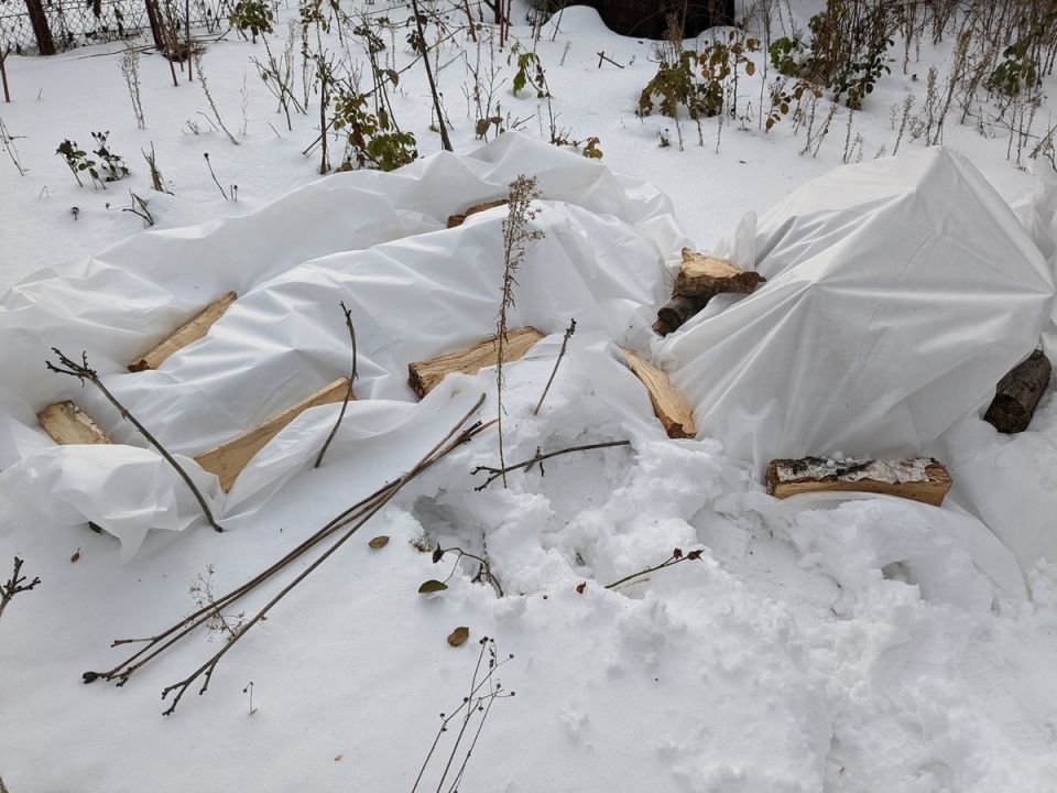 Когда содержание важнее количества: Взгляд на качественную аудиторию в мире соцсетей