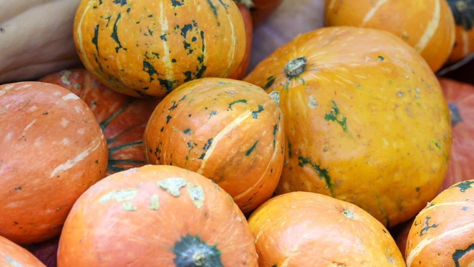 Тыквенный спас: как доброта и урожай объединяют россиян в праздник