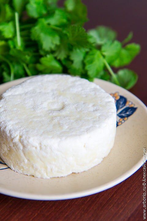 Истинное искусство домашнего панира