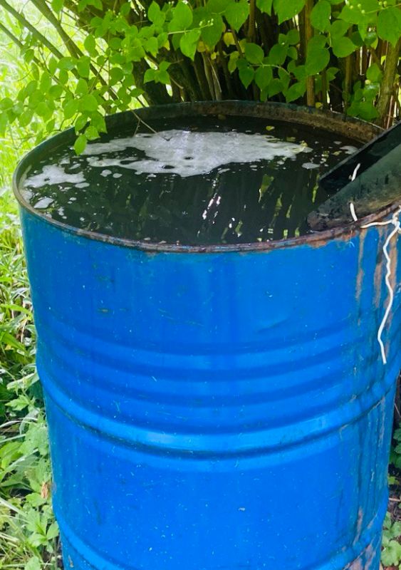 Дождевая вода: скрытая угроза для вашего урожая