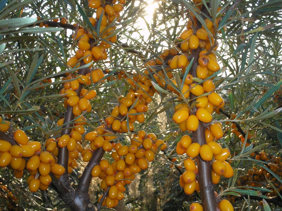 ���� �� ��������� � ����: �������� ������ ��� ���������