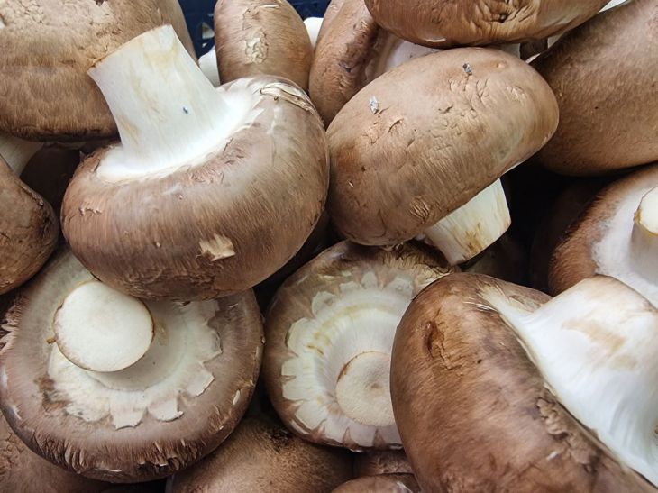 ����� �� ���� ����� ����������: ������ � �� �������