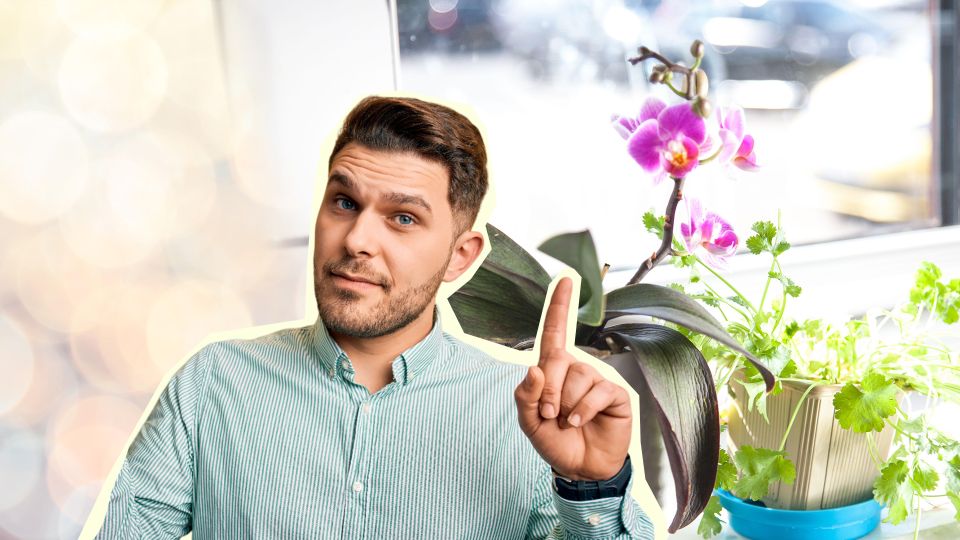 �������� ��� � ����� �������� � ������ �� ����: ����� ��������� � ��������