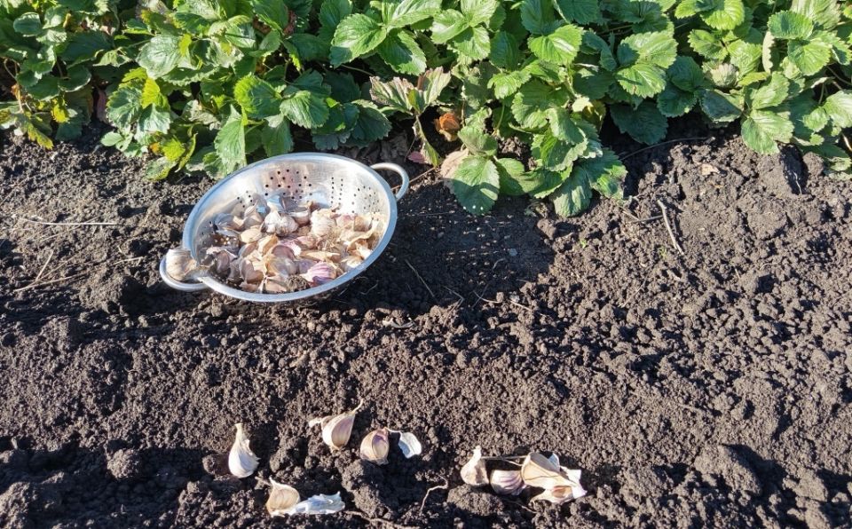 ��������� �� �������: ��� ������ �������� �������� � �������� ��������� ������������