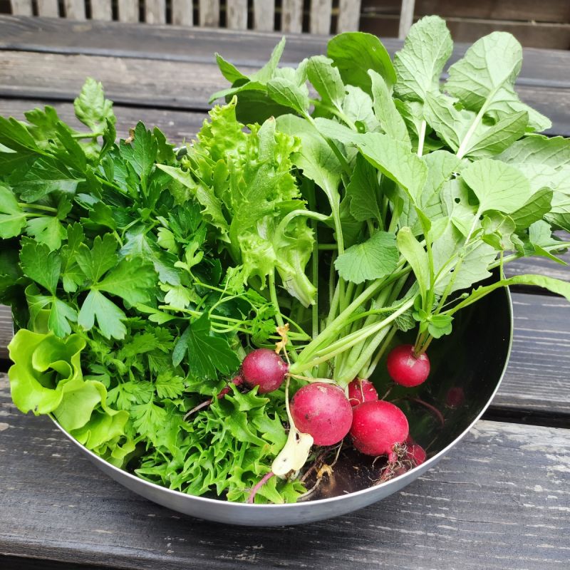 �������� ������: ��� ������� ������������ ������� �� ������� � ������