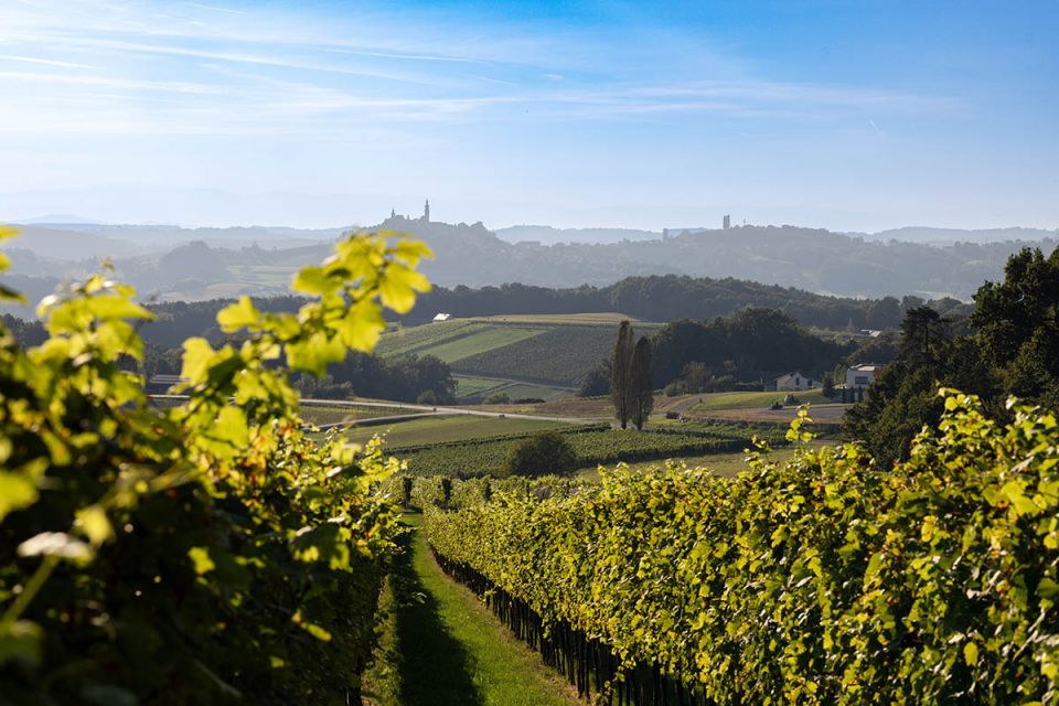 ��������� ���������: ������, ������� �������� �������� ���������