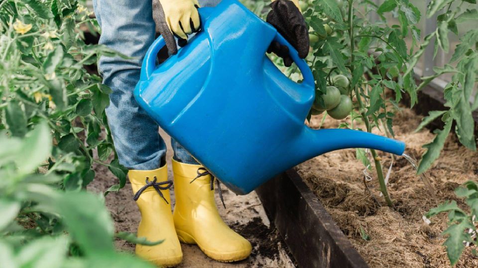 �������� � �������� ������ �������� � ������: ������ � ������ ������ ������ ������