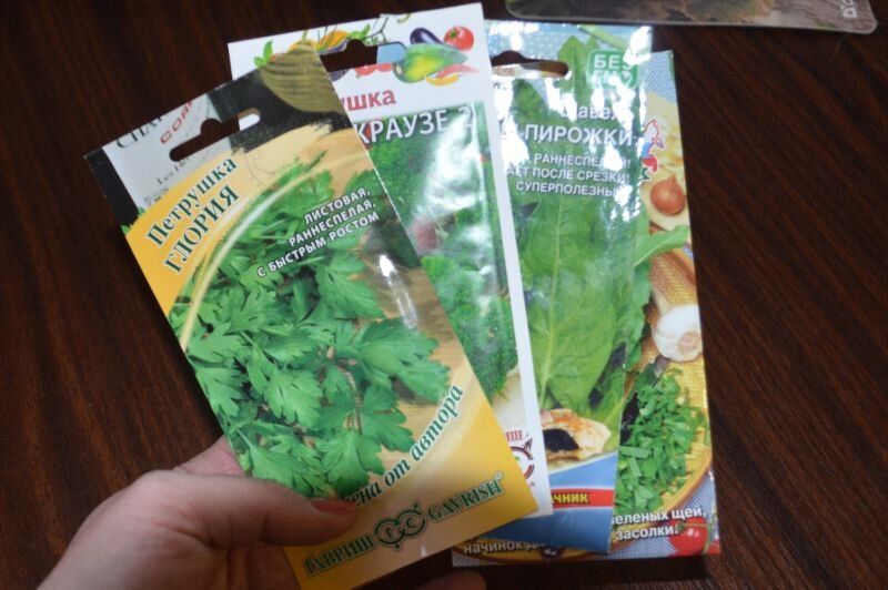 Что сеять в январе для успешной рассады