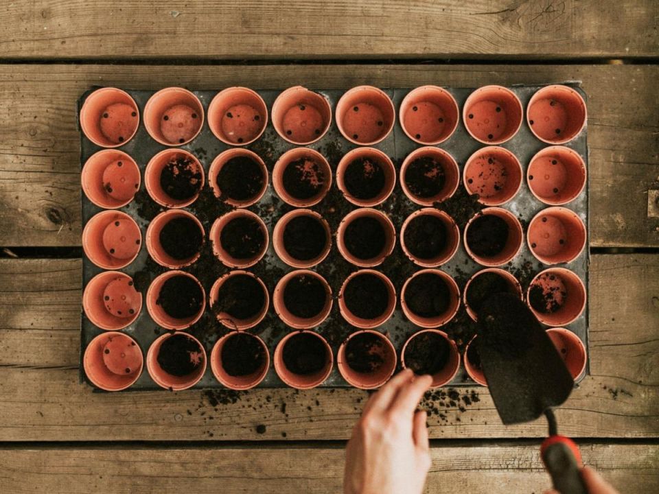 ������ ���������: ������� ���� �� �������� ������� � 2026 ����