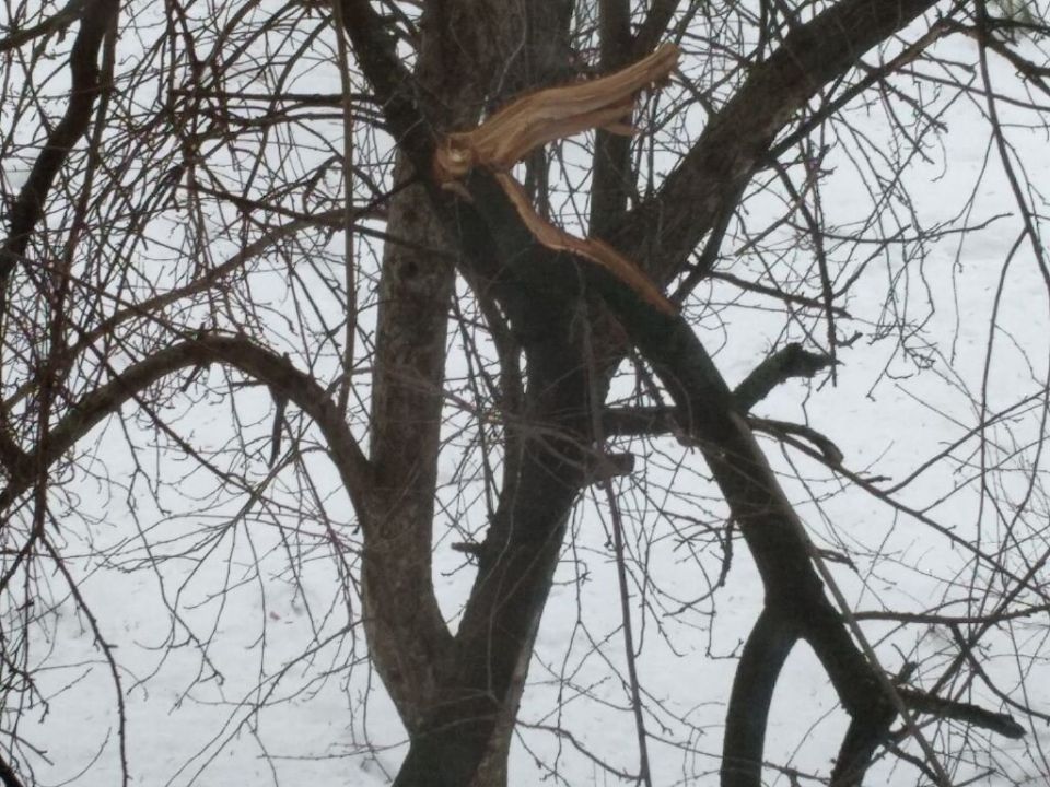 ������ ����� � ����: ��� �������� ��������� �� ����������