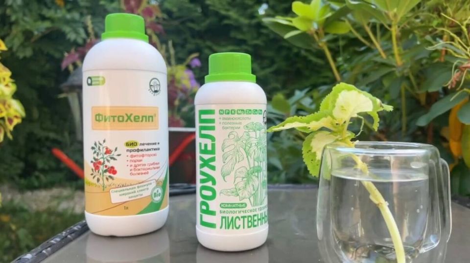 ������ ����������� ����� � ��� ��������� ����: ����������� ������� � ������������ ������