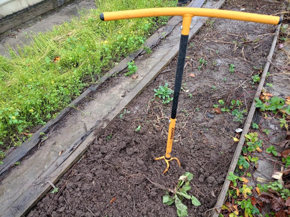 ������� ��������� �����: ��� ����������� ��������� ���� �� ����