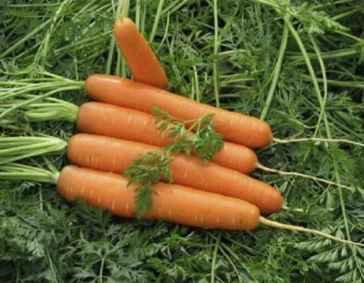 ��� ��������� ��������� �������: �������, ������� �������� ���� �����