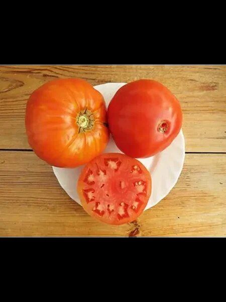 ����� ����: ���� ����� �������� ��� �������