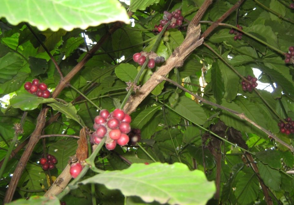 �������� �������: ��������� ����� �� �����������