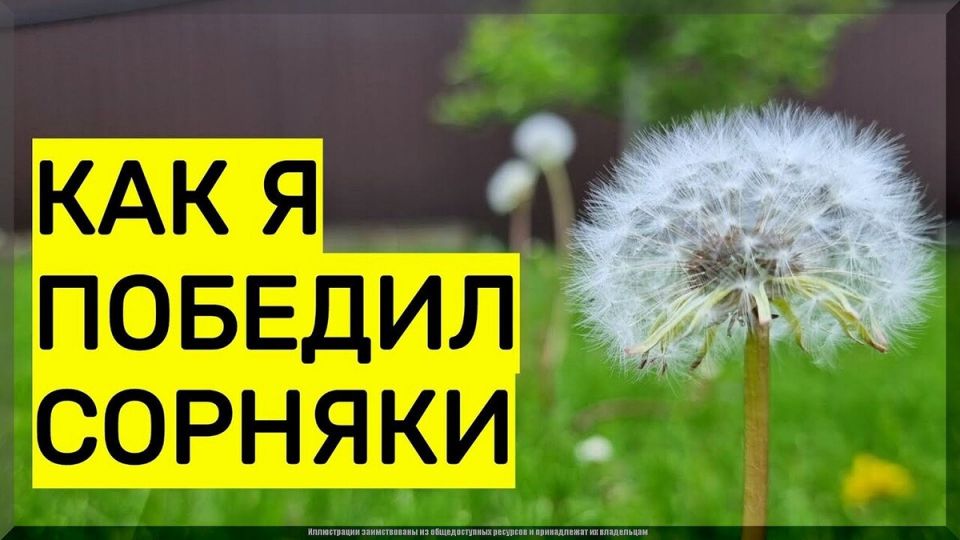 ����������� ������� ��� ���������� �� ��������