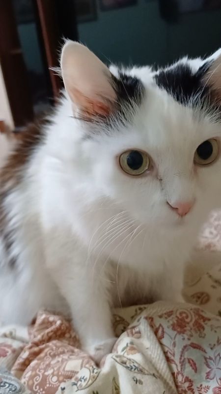 �����: �������� ������ ����