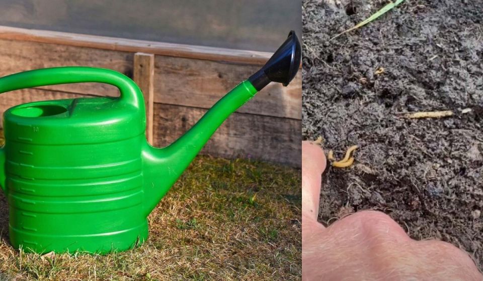 ��� ������ ���������� � �������������: ������ ��� ��������