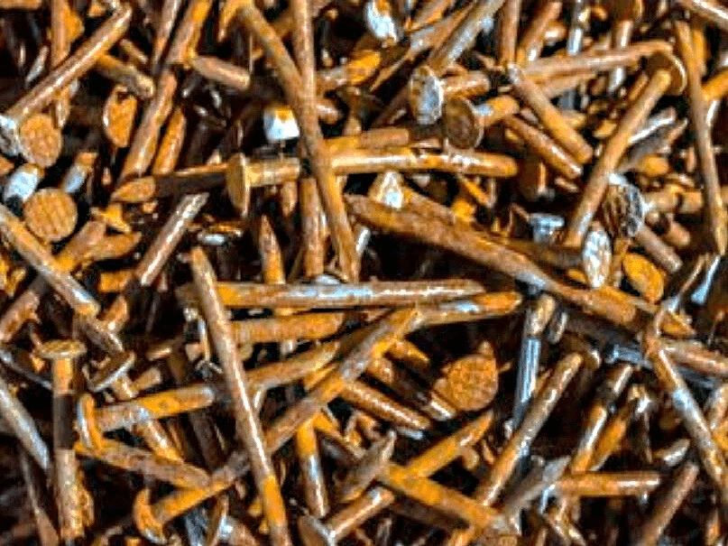 О ржавом гвозде и плодоношении яблонь: спокойное объяснение мифа