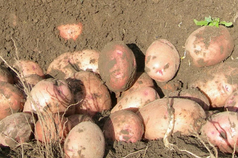 ��������� � ����� � ����� �������� � ������������� �������