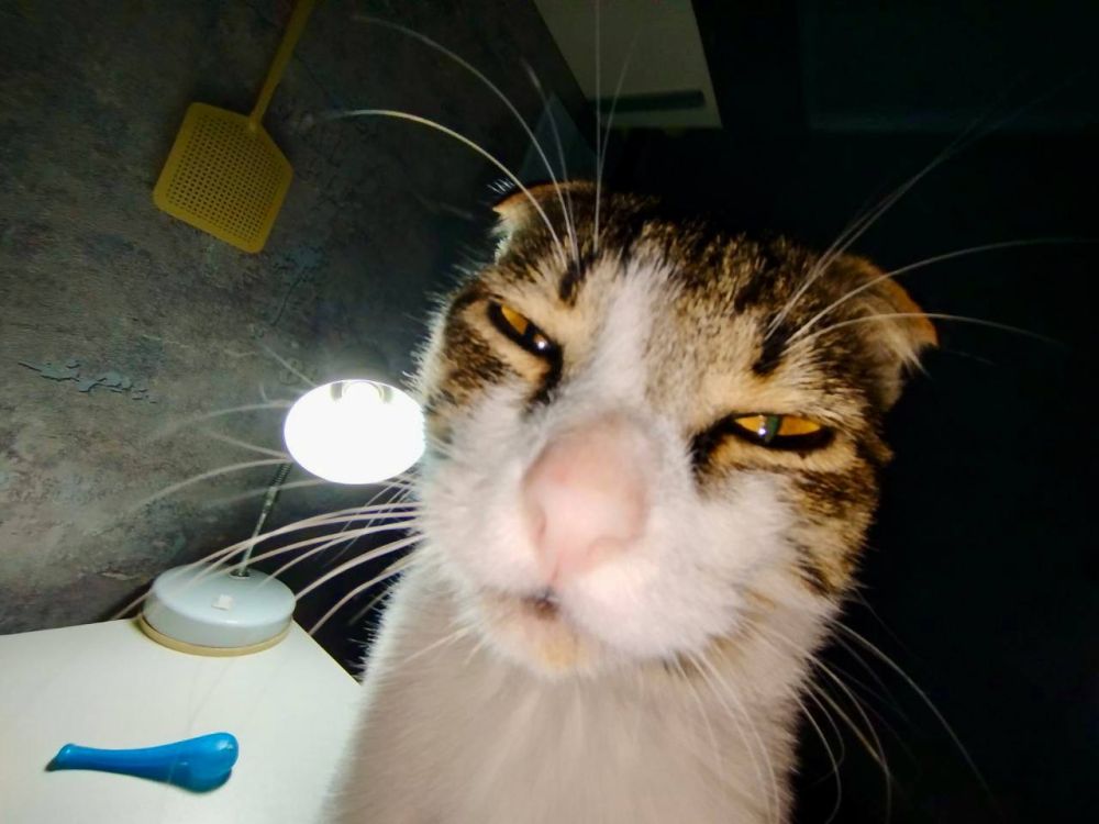 , ! ,       :