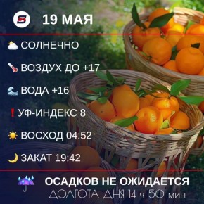  , !.      :  ,    ,   