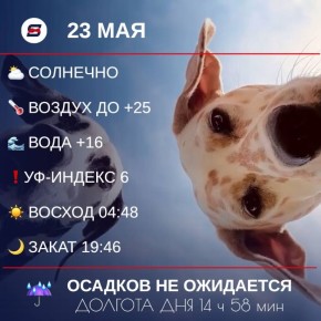  , !.   