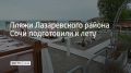 В Лазаревском районе Сочи 80 пляжей больше всего на курорте