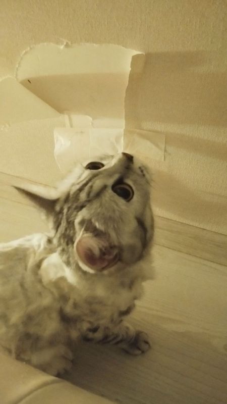 , !.     ,      !  +14+27 