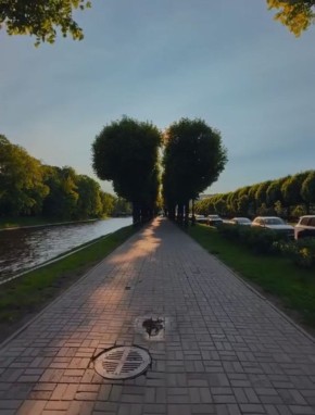    6 .     