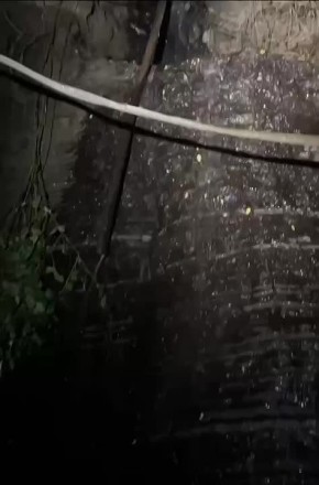   :    !