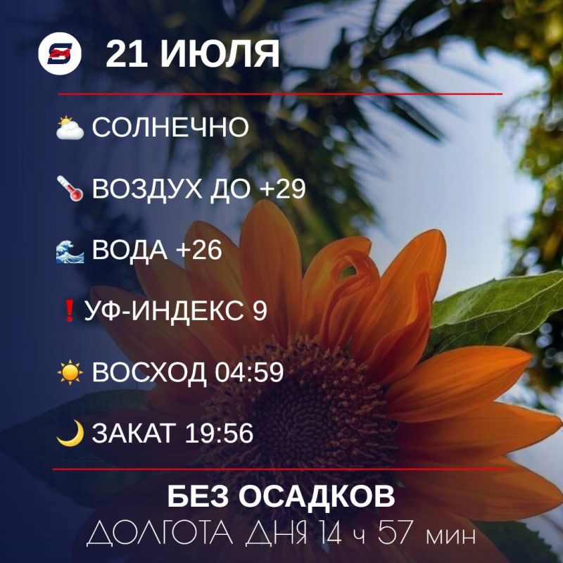   , .   :      -   ,   .-     ,    ,     ...