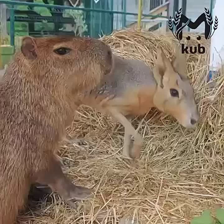    !