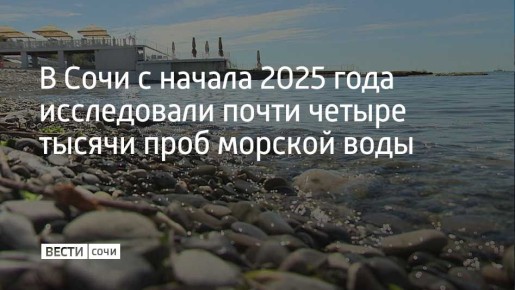   2025     3,9       