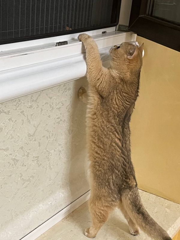    3 .     