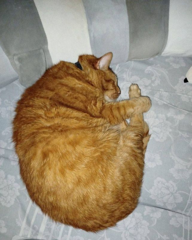   19 :.  +33 