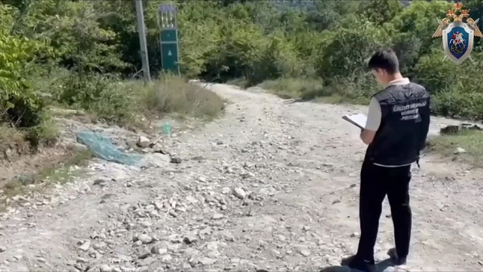  ,      , 