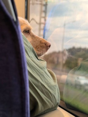  !.         