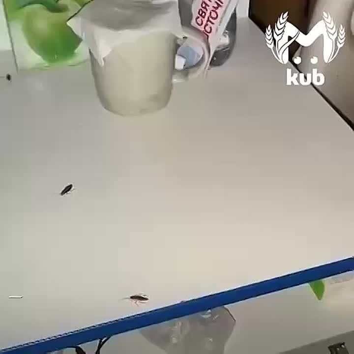         3.        