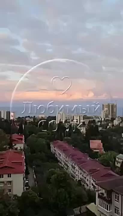          ()   