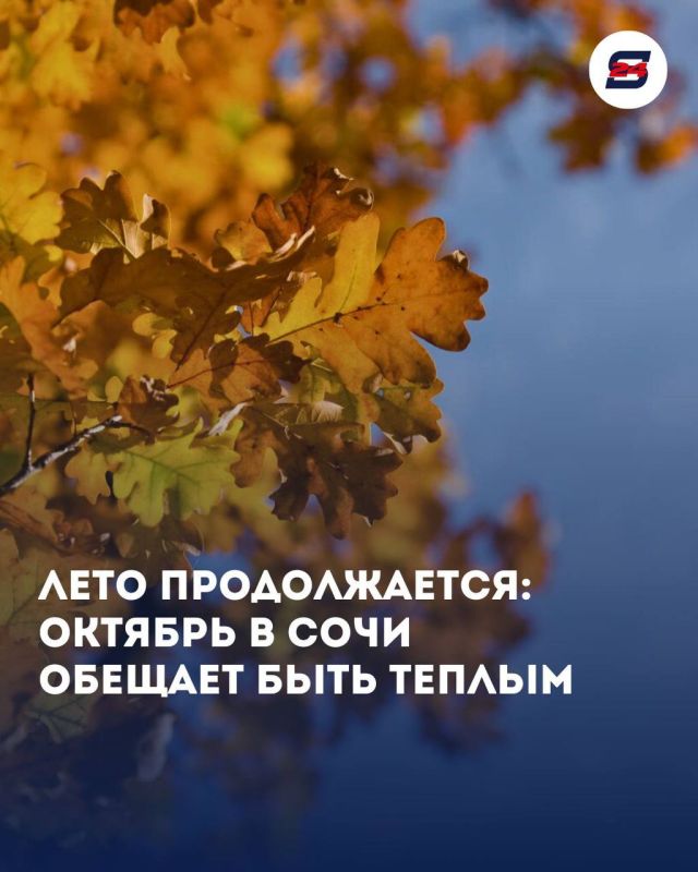    !          ,  