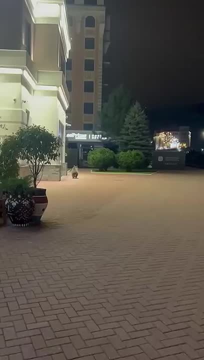 -   :