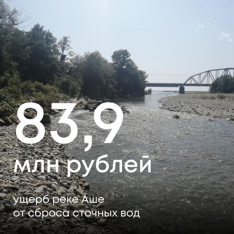     84      