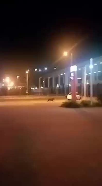  !.     